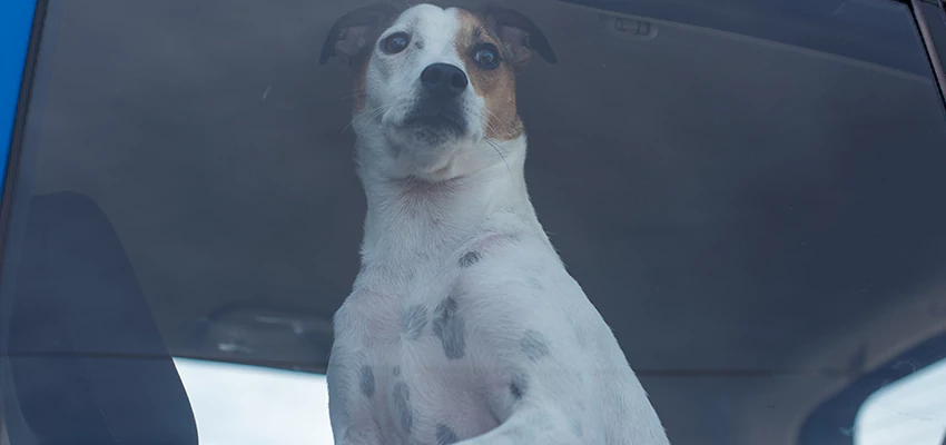 Car Lockout Solutions in Vallejo, California