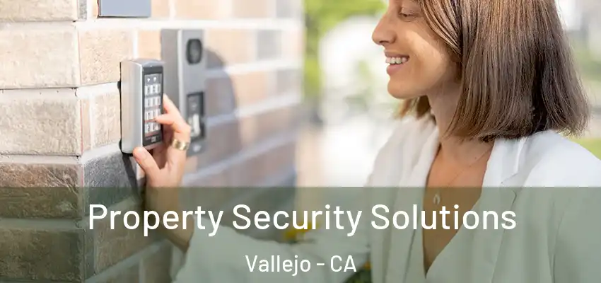 Property Security Solutions Vallejo - CA